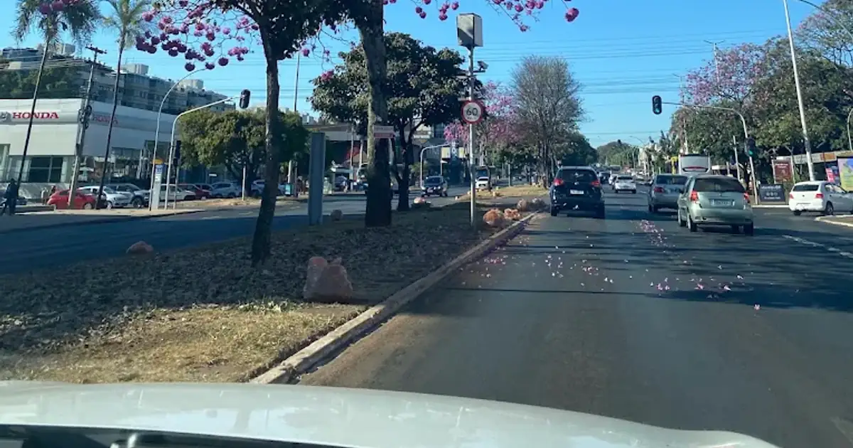 Plano de Saúde na Asa Norte de Brasília. Qual a Melhor Opção?